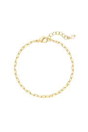 14k Gold Plated 2.5mm Open Cable Chain Bracelet - GP