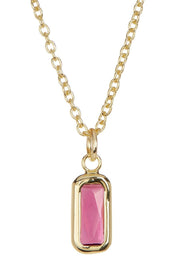 Raspberry Crystal Charm Necklace - GF