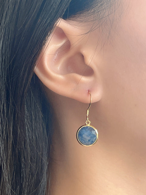 Kyanite Fancy Cut Round Earrings - GF