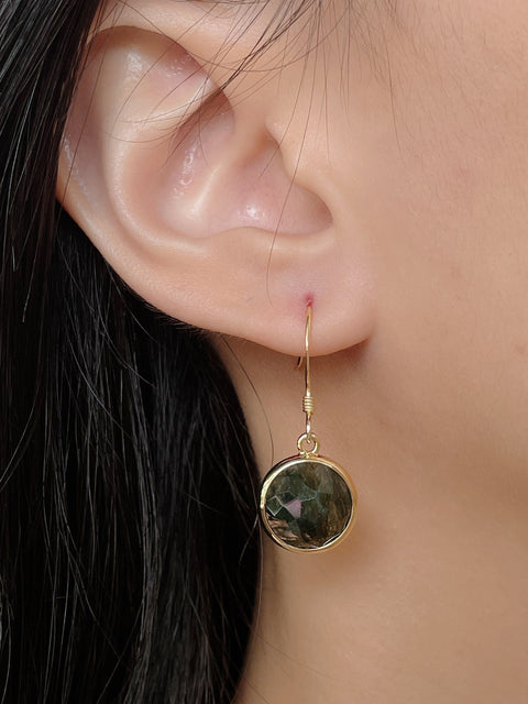 Moss Agate Fancy Cut Round Earrings - GF