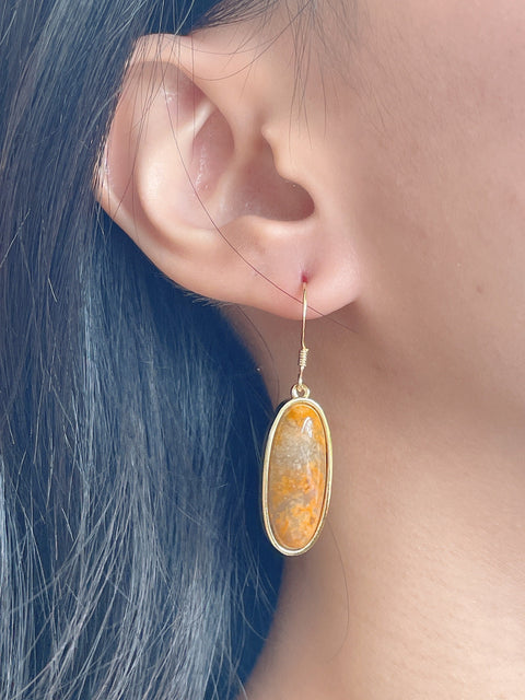 Crazy Lace Agate Oval Drop Earrings - GF