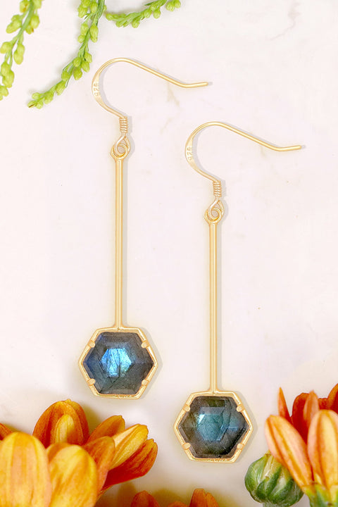 Labradorite Pendulum Drop Earrings - GF