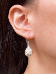 Lily Fossil Teardrop Earrings - SF