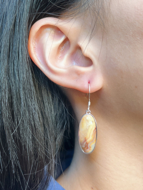 Crazy Lace Agate Oval Drop Earrings - SF