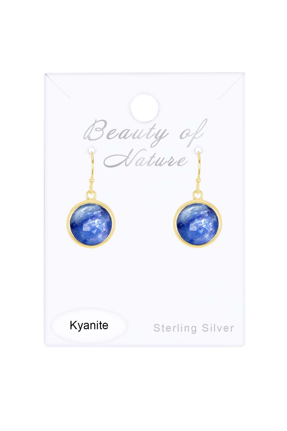 14k Vermeil & Kyanite Fancy Cut Round Earrings - VM