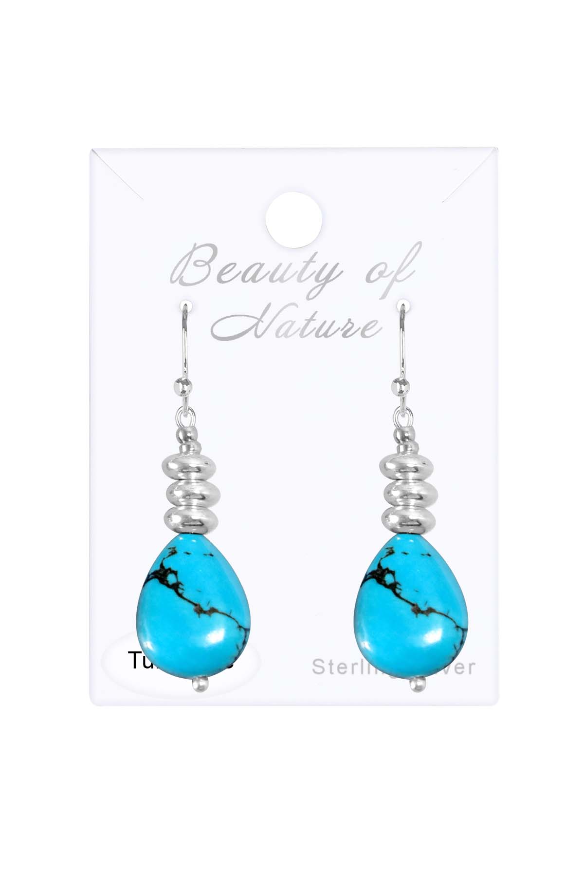 Sterling Silver & Turquoise Santa Fe Earrings - SS