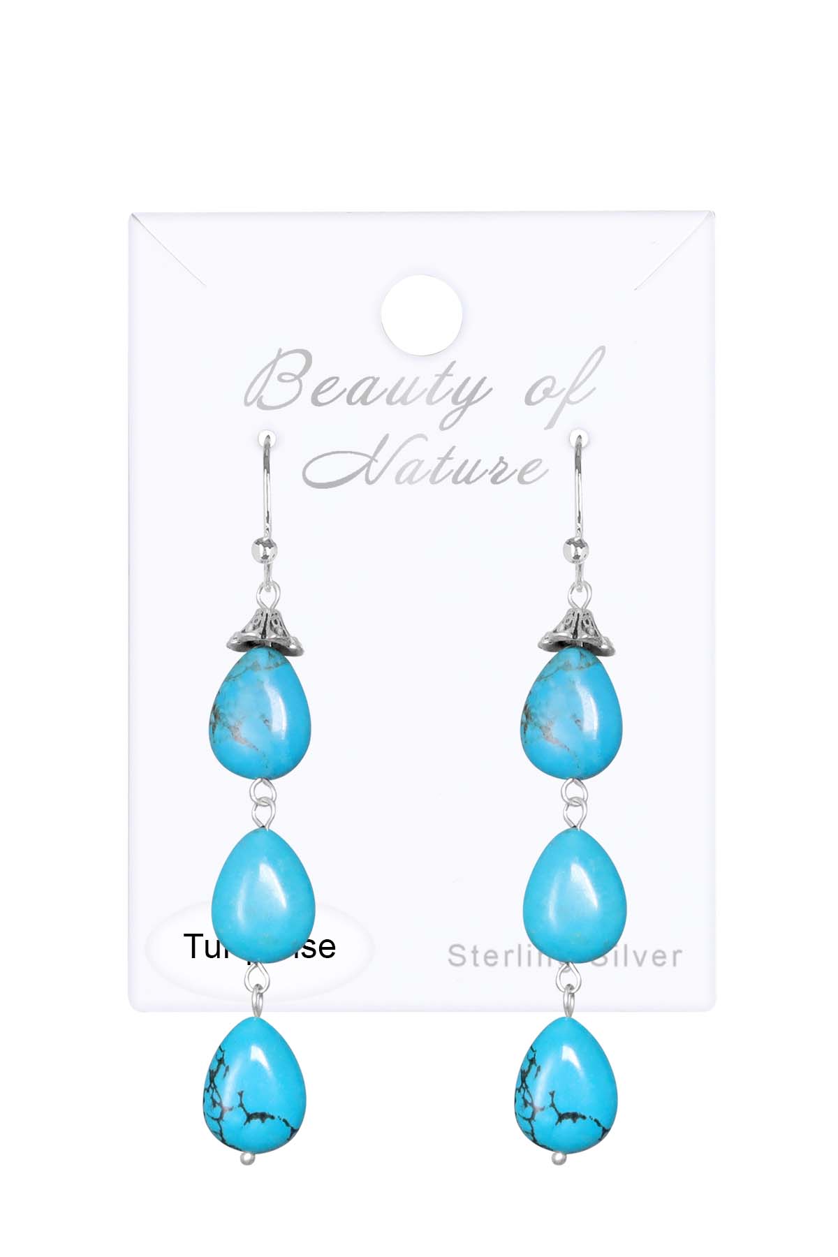 Sterling Silver & Turquoise Aurora Earrings - SS