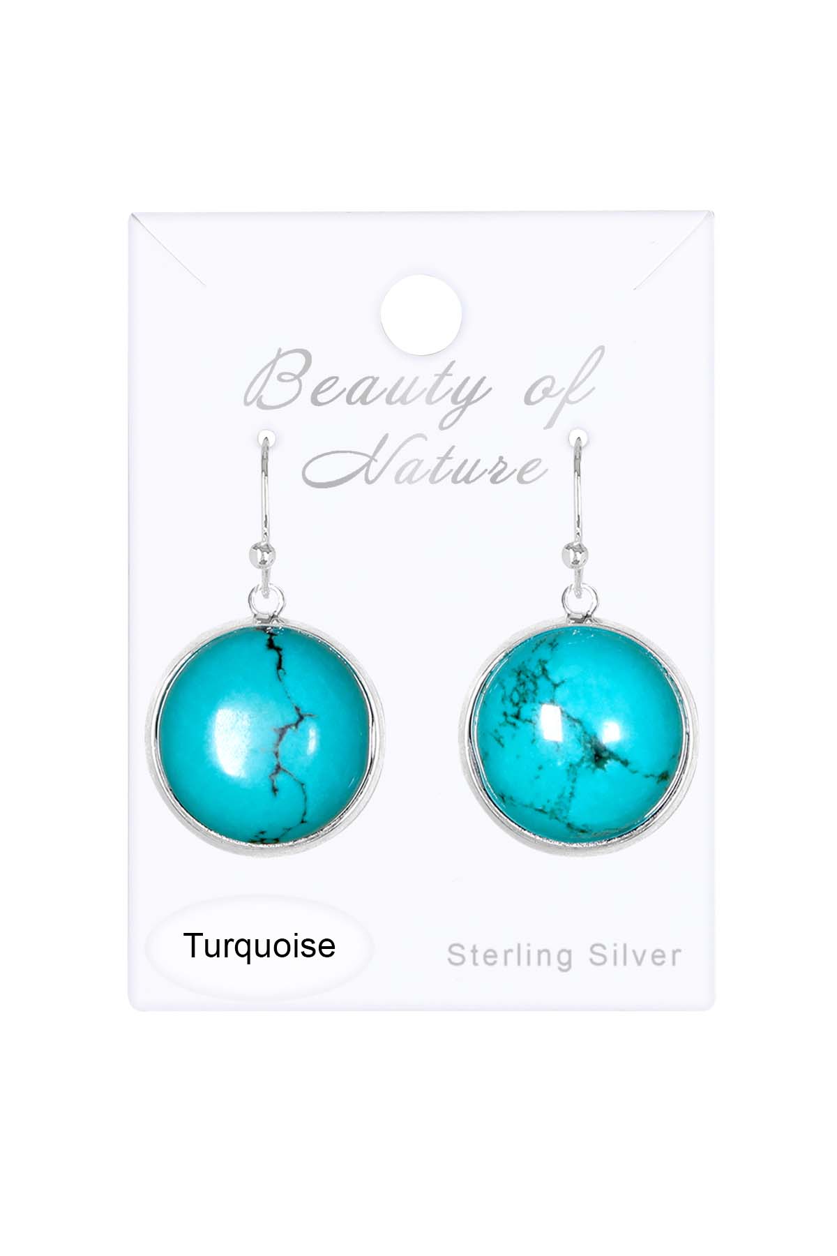 Sterling Silver & Turquoise Elisha Earrings - SS