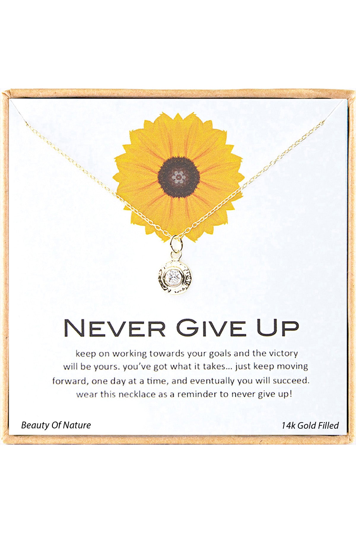 'Never Give Up' Boxed Charm Necklace - GF